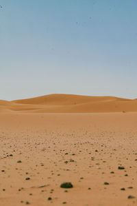 Scenic view of desert against clear sky