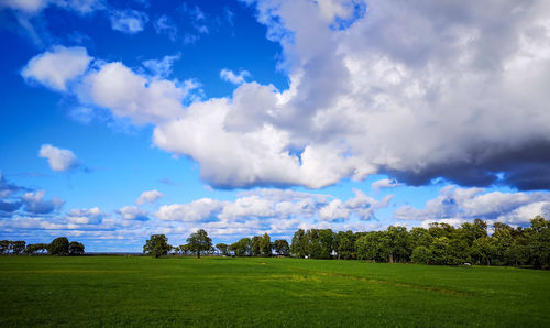 Scenic view of field against sky