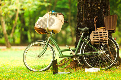 Bicycle leaning on tree trunk in field