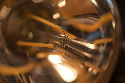 Close-up of light bulb