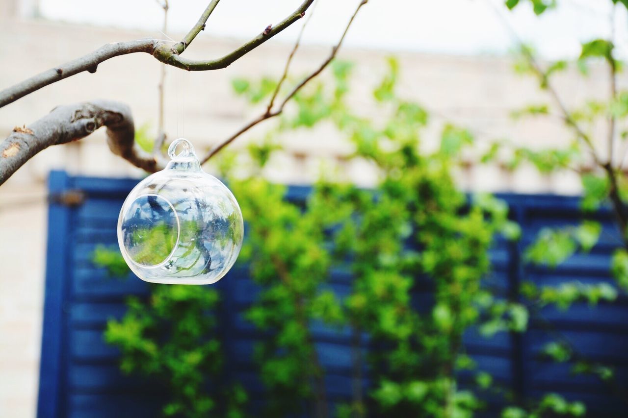 focus on foreground, close-up, drop, transparent, glass - material, water, fragility, hanging, wet, indoors, tree, sphere, raindrop, selective focus, rain, reflection, day, nature, season, growth