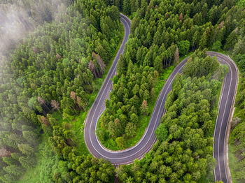 High angle view of road amidst trees in forest