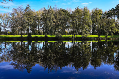 Reflection of trees in lake against sky