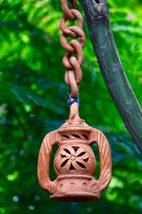 Close-up of tree trunk