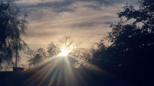 Low angle view of silhouette trees against sky at sunset