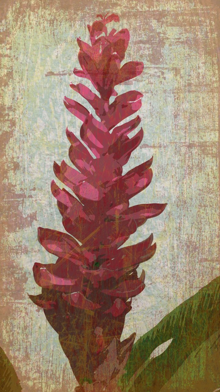 CLOSE-UP OF RED LEAF ON WALL