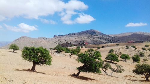 Scenic view of desert against sky