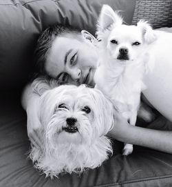 Portrait of boy with dogs on bed