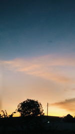 Low angle view of silhouette trees against sky during sunset