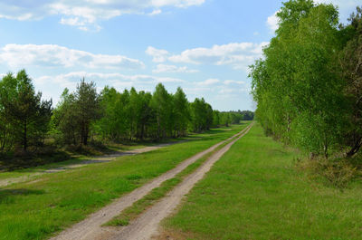 Road passing through field