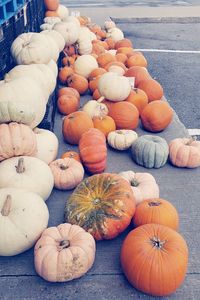 High angle view of pumpkins for sale in market