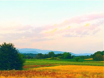 Scenic view of field against sky