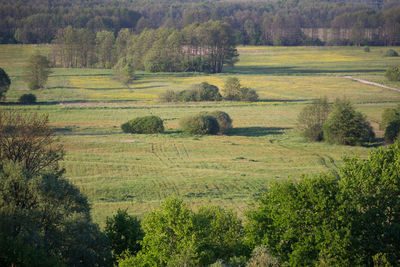 Scenic view of rural landscape