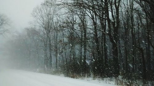 Snow covered road passing through forest