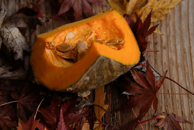 Close-up of orange mushroom