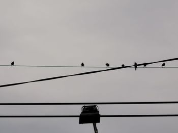 Low angle view of birds perching on cable against sky
