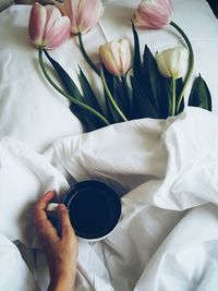 Close-up of hand with tulips in bed