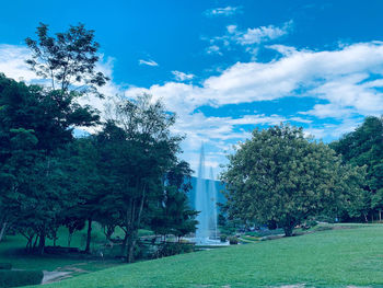 Trees in park against sky