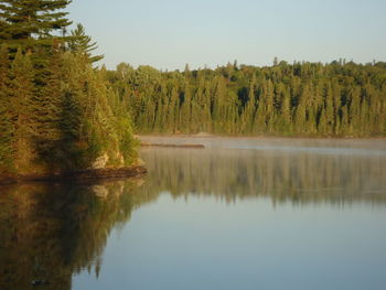 Reflection of trees in lake