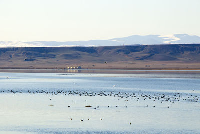 Landscape and view of lake during winter, georgia