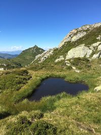 Scenic view of landscape against clear blue sky