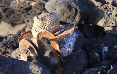 Close-up of stones on rock