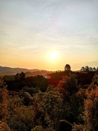 Scenic view of landscape against sky during sunset