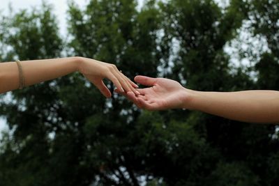 Midsection of woman with hand against trees