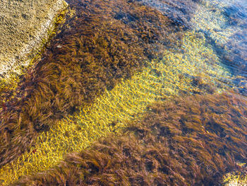 Full frame shot of water