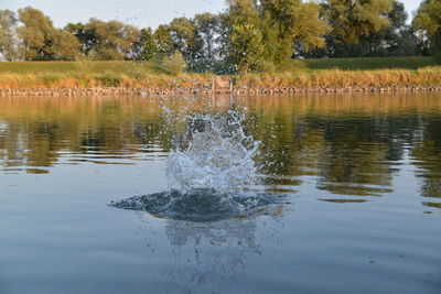 Scenic view of lake