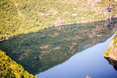 High angle view of lake amidst trees