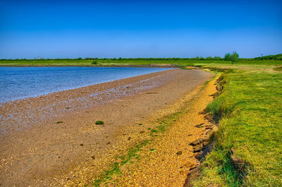 Scenic view of beach against blue sky