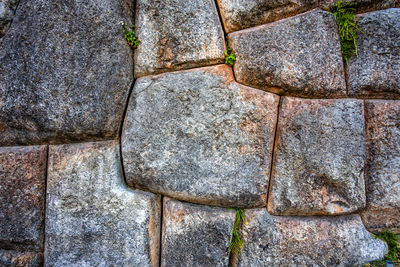 wall