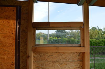 Trees seen through window