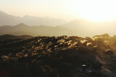 Scenic view of landscape against sky during sunset