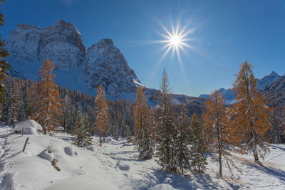 Scenic view of snow covered mountain against sky