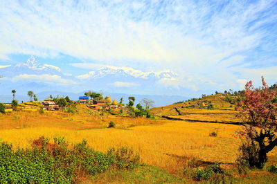 Scenic view of field against sky