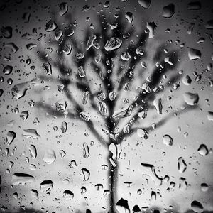 Full frame shot of wet window