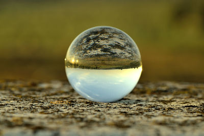 Close-up of crystal ball on wood