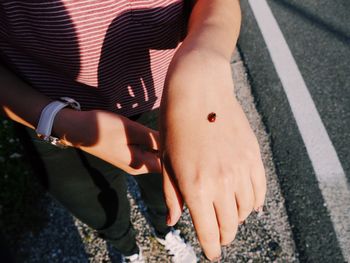 Low section of woman with ladybug on hand