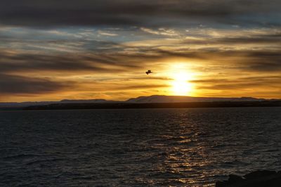 Scenic view of sea at sunset