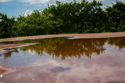 Reflection of trees in lake against sky