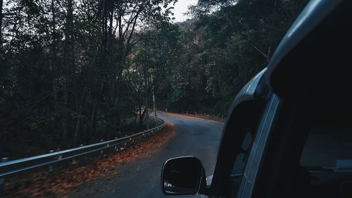 Car on road in forest