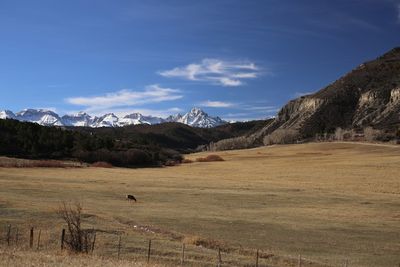 Scenic view of landscape and mountains against sky