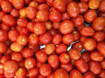 Close-up of tomatoes