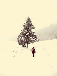 Person walking on snow covered field against sky