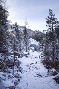 Scenic view of snow covered mountains