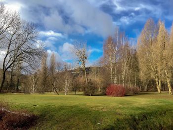 Scenic view of grassy field against cloudy sky