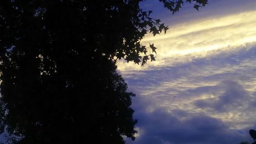 Low angle view of trees against cloudy sky