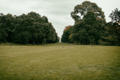 Trees on grassy field in park against cloudy sky